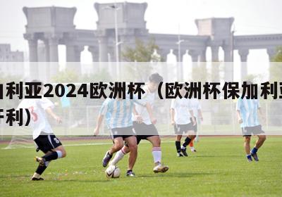 保加利亚2024欧洲杯（欧洲杯保加利亚对匈牙利）