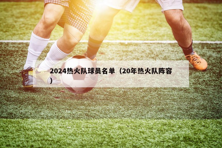 2024热火队球员名单（20年热火队阵容）