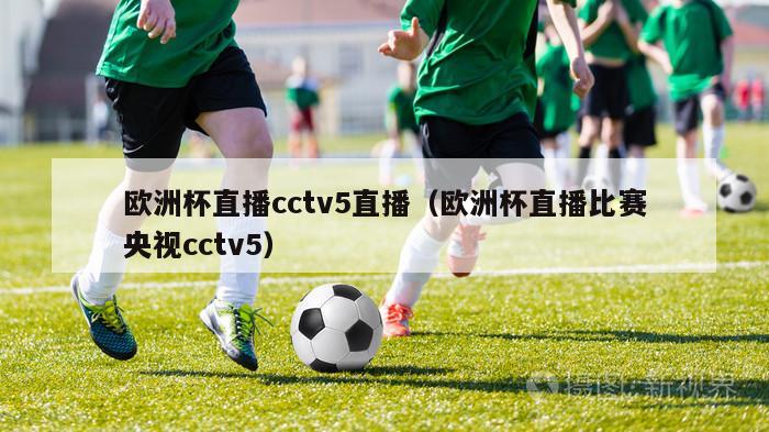 欧洲杯直播cctv5直播（欧洲杯直播比赛央视cctv5）