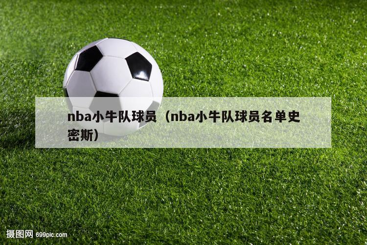 nba小牛队球员（nba小牛队球员名单史密斯）