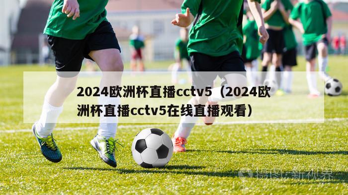 2024欧洲杯直播cctv5（2024欧洲杯直播cctv5在线直播观看）