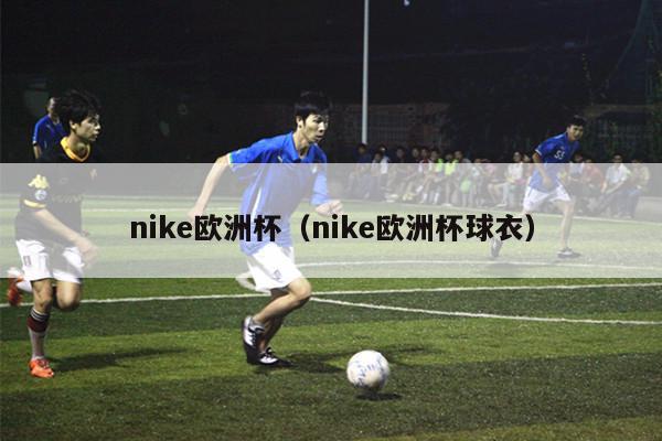 nike欧洲杯（nike欧洲杯球衣）