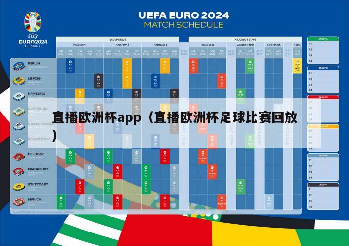 直播欧洲杯app（直播欧洲杯足球比赛回放）