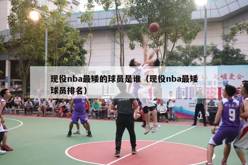 现役nba最矮的球员是谁（现役nba最矮球员排名）