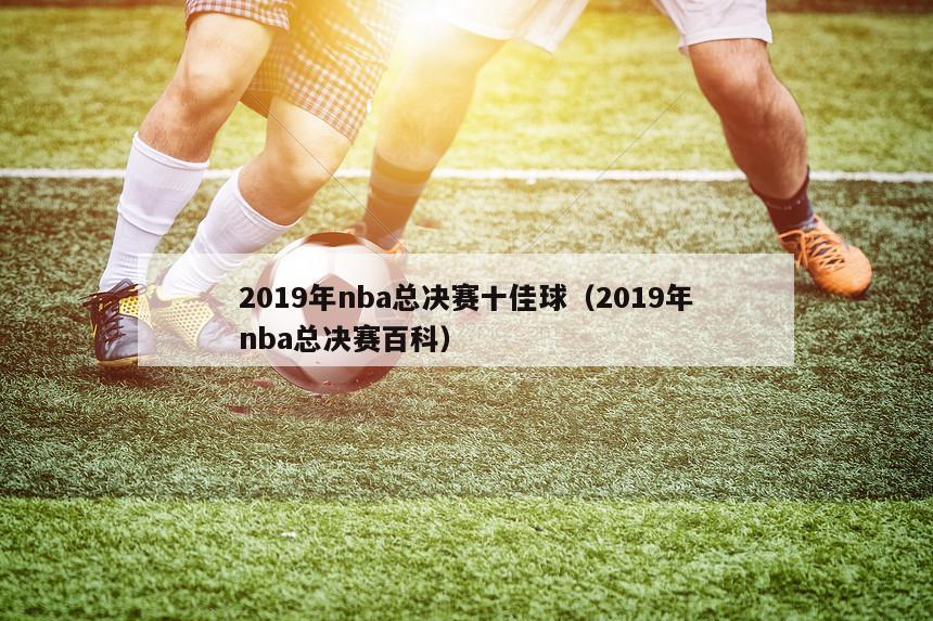 2019年nba总决赛十佳球（2019年nba总决赛百科）