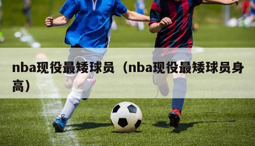 nba现役最矮球员（nba现役最矮球员身高）